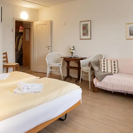 Helene Apt-diana By Interhome Apartament Wengen