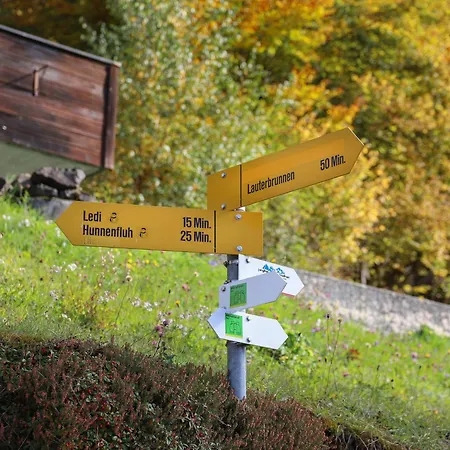 Helene Apt-diana By Interhome Apartament Wengen