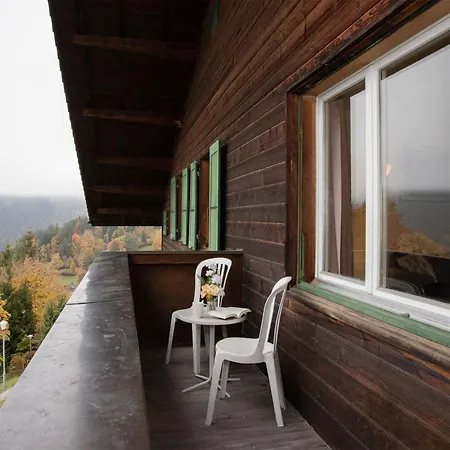 Helene Apt-diana By Interhome * Wengen